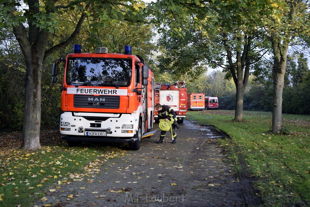 Feuer 1 brannten 3 Lauben Koeln Fuehlingen Kriegerhofstr P011.JPG - Miklos Laubert